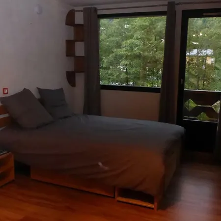 Appartement Les Du Mont Blanc - *